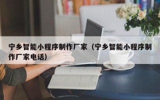 屯昌宁乡智能小程序制作厂家（宁乡智能小程序制作厂家电话）