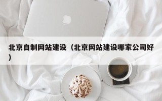 屯昌北京自制网站建设（北京网站建设哪家公司好）